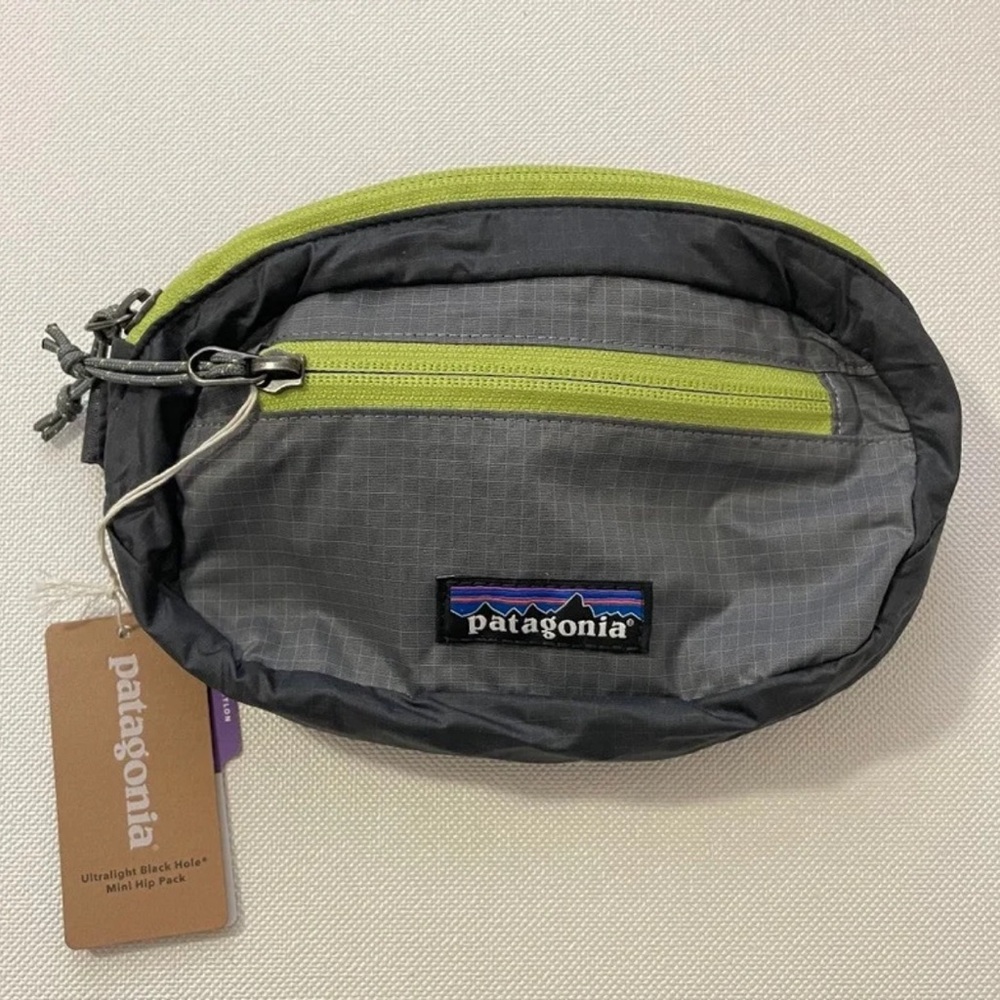 Patagonia hip pack